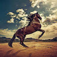 unlockcartago