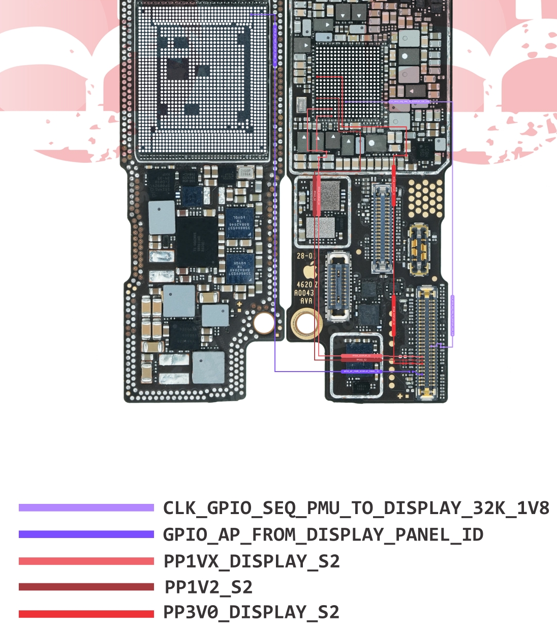 iPhone 12 MINI LCD 2.jpg