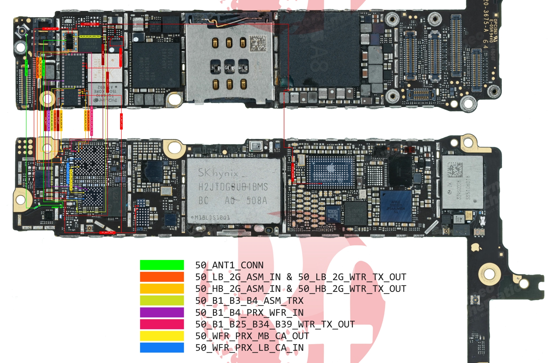 iPhone 6 PLUS NETWORK.jpg